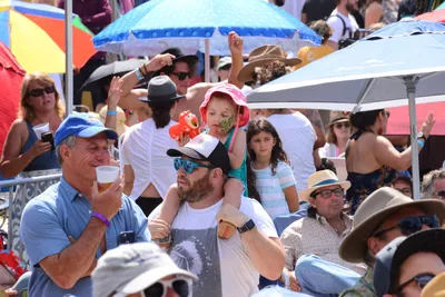 DSC_2091 (Large).JPG